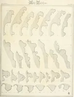 Picture 142 of 208 from An analysis of Gothick architecture ; (1847), leaf 188