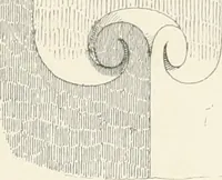 An illustration from An analysis of Gothick architecture ; (1847)