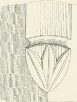 An illustration from An analysis of Gothick architecture ; (1847)