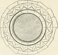 An illustration from An analysis of Gothick architecture ; (1847)