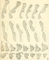 Picture 122 of 182 from An analysis of Gothick architecture : illustrated by a series of upwards of seven hundred examples of doorways, windows, etc., and accompanied with remarks on the several details of an ecclesiastical edifice (1849), leaf 158