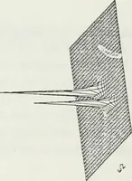 An illustration from The analysis of multichannel two-dimensional random signals (1718)