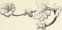 An illustration from Analysis of ornament. The characteristics of styles : an introduction to the study of the history of ornamental art (1860)
