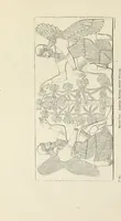 An illustration from Analysis of ornament. The characteristics of styles : an introduction to the study of the history of ornamental art (1860)