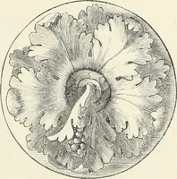 An illustration from Analysis of ornament. The characteristics of styles : an introduction to the study of the history of ornamental art (1860)