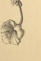 An illustration from Analysis of ornament, characteristics of styles; an introduction to the study of the history of ornamental art (1879)