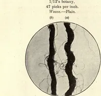 An illustration from Analysis of woven fabrics (1914)