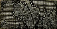 An illustration from The analysis & reproduction of textile fabrics : being a reasonable explanation of the necessary calculations and processes involved in analysing, effecting the required changes, and reproducing all the principal types of woven textures, from the raw materials to the finished cloth ; with an appendix upon "The cost of cloths." (1894)