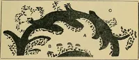 An illustration from The analysis & reproduction of textile fabrics : being a reasonable explanation of the necessary calculations and processes involved in analysing, effecting the required changes, and reproducing all the principal types of woven textures, from the raw materials to the finished cloth ; with an appendix upon "The cost of cloths." (1894)