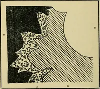 An illustration from The analysis & reproduction of textile fabrics : being a reasonable explanation of the necessary calculations and processes involved in analysing, effecting the required changes, and reproducing all the principal types of woven textures, from the raw materials to the finished cloth ; with an appendix upon "The cost of cloths." (1894)