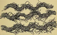 An illustration from The analysis & reproduction of textile fabrics : being a reasonable explanation of the necessary calculations and processes involved in analysing, effecting the required changes, and reproducing all the principal types of woven textures, from the raw materials to the finished cloth ; with an appendix upon "The cost of cloths." (1894)