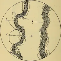 An illustration from The analysis & reproduction of textile fabrics : being a reasonable explanation of the necessary calculations and processes involved in analysing, effecting the required changes, and reproducing all the principal types of woven textures, from the raw materials to the finished cloth ; with an appendix upon "The cost of cloths." (1894)