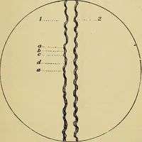 An illustration from The analysis & reproduction of textile fabrics : being a reasonable explanation of the necessary calculations and processes involved in analysing, effecting the required changes, and reproducing all the principal types of woven textures, from the raw materials to the finished cloth ; with an appendix upon "The cost of cloths." (1894)