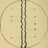 An illustration from The analysis & reproduction of textile fabrics : being a reasonable explanation of the necessary calculations and processes involved in analysing, effecting the required changes, and reproducing all the principal types of woven textures, from the raw materials to the finished cloth ; with an appendix upon "The cost of cloths." (1894)
