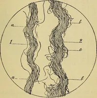 An illustration from The analysis & reproduction of textile fabrics : being a reasonable explanation of the necessary calculations and processes involved in analysing, effecting the required changes, and reproducing all the principal types of woven textures, from the raw materials to the finished cloth ; with an appendix upon "The cost of cloths." (1894)
