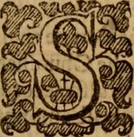 Picture 4 of 4 from An analytical exposition of both the epistles of the Apostle Peter, illustrated by doctrines out of every text .. (1641), leaf 132