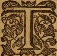 Picture 3 of 4 from An analytical exposition of both the epistles of the Apostle Peter, illustrated by doctrines out of every text .. (1641), leaf 40