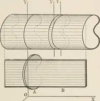 An illustration from Analytical mechanics for students of physics and engineering (1913)