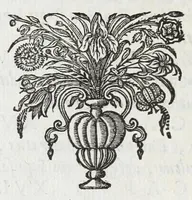 Picture 3 of 29 from Anastasis Childerici I. Francorum regis, siue, Thesaurus sepulchralis Tornaci Neruiorum effossus, & commentario illustratus (1655), leaf 20