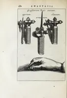 Picture 14 of 29 from Anastasis Childerici I. Francorum regis, siue, Thesaurus sepulchralis Tornaci Neruiorum effossus, & commentario illustratus (1655), leaf 204