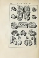 Picture 19 of 29 from Anastasis Childerici I. Francorum regis, siue, Thesaurus sepulchralis Tornaci Neruiorum effossus, & commentario illustratus (1655), leaf 250