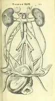 An illustration from Anatome, ex omnium veterum recentiorumque observationibus imprimis Institutionibus b. m. parentis Ca (1686)