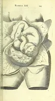 An illustration from Anatome, ex omnium veterum recentiorumque observationibus imprimis Institutionibus b. m. parentis Ca (1686)