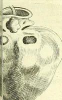 Picture 27 of 49 from Anatome, ex omnium veterum recentiorumque observationibus imprimis Institutionibus b. m. parentis Ca (1686), leaf 403