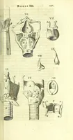 An illustration from Anatome, ex omnium veterum recentiorumque observationibus imprimis Institutionibus b. m. parentis Ca (1686)