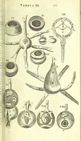 An illustration from Anatome, ex omnium veterum recentiorumque observationibus imprimis Institutionibus b. m. parentis Ca (1686)