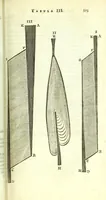 An illustration from Anatome, ex omnium veterum recentiorumque observationibus imprimis Institutionibus b. m. parentis Ca (1686)