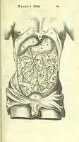 An illustration from Anatome, ex omnium veterum recentiorumque observationibus imprimis Institutionibus b. m. parentis Ca (1686)