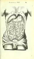 An illustration from Anatome ex omnium veterum recentiorumque observationibus imprimis Institutionibus b. m. parentis Cas (1673)