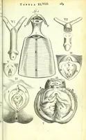 An illustration from Anatome ex omnium veterum recentiorumque observationibus imprimis Institutionibus b. m. parentis Cas (1673)