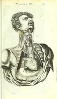 An illustration from Anatome ex omnium veterum recentiorumque observationibus imprimis Institutionibus b. m. parentis Cas (1673)