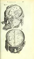 An illustration from Anatome ex omnium veterum recentiorumque observationibus imprimis Institutionibus b. m. parentis Cas (1673)
