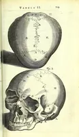 An illustration from Anatome ex omnium veterum recentiorumque observationibus imprimis Institutionibus b. m. parentis Cas (1673)