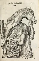 Picture 26 of 46 from Anatomia del cavallo, infermità, et svoi rimedii : opera nuova ... (1599), leaf 215