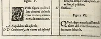 An illustration from Anatomia del cavallo, infermità, et svoi rimedii : opera nuova ... (1599)