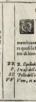 An illustration from Anatomia del cavallo, infermità, et svoi rimedii : opera nuova ... (1599)