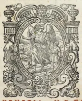 An illustration from Anatomia del cavallo, infermità, et svoi rimedii : opera nuova ... (1599)