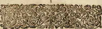 An illustration from Anatomiae amphitheatrvm effigie triplici, more et conditione varia, designatvm (1623)