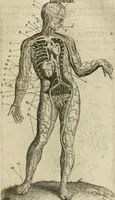 An illustration from Anatomiae amphitheatrvm effigie triplici, more et conditione varia, designatvm (1623)
