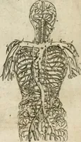 An illustration from Anatomiae amphitheatrvm effigie triplici, more et conditione varia, designatvm (1623)