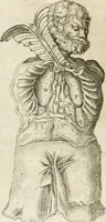 Picture 68 of 129 from Anatomiae amphitheatrvm effigie triplici, more et conditione varia, designatvm (1623), leaf 133