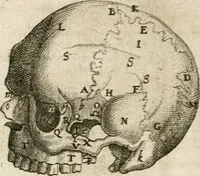 Picture 80 of 129 from Anatomiae amphitheatrvm effigie triplici, more et conditione varia, designatvm (1623), leaf 161