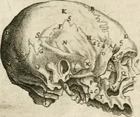 Picture 81 of 129 from Anatomiae amphitheatrvm effigie triplici, more et conditione varia, designatvm (1623), leaf 161