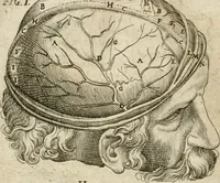 An illustration from Anatomiae amphitheatrvm effigie triplici, more et conditione varia, designatvm (1623)