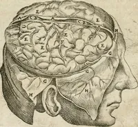 An illustration from Anatomiae amphitheatrvm effigie triplici, more et conditione varia, designatvm (1623)