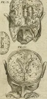 An illustration from Anatomiae amphitheatrvm effigie triplici, more et conditione varia, designatvm (1623)
